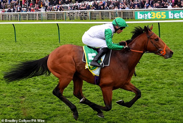 Robin Goodfellow’s racing tips: Best bets for Tuesday, May 21