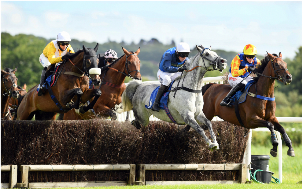 Horse Racing Tips: Our Newton Abbot fancies today including a 5/1 shout