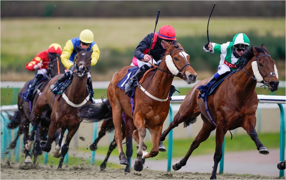 Horse Racing Tips: A 10/3 play leads the way at Lingfield today