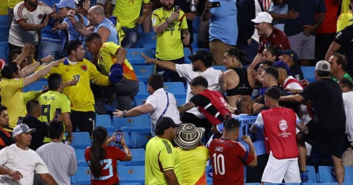 Darwin Nunez in Copa America brawl as Liverpool star fights with fans in stands