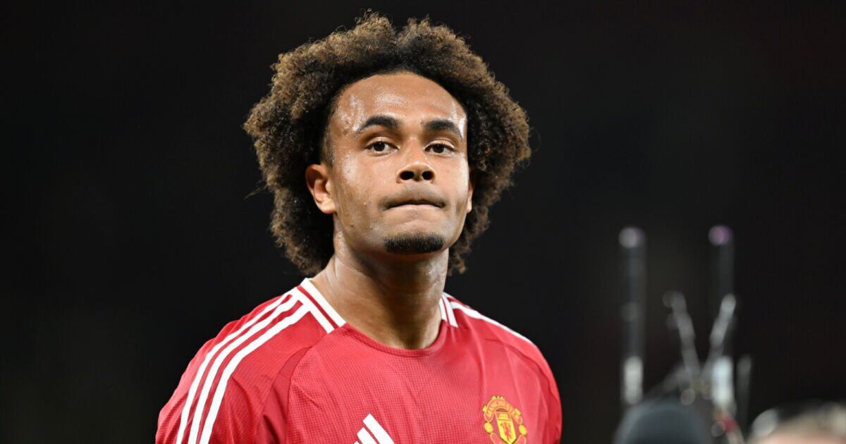 Joshua Zirkzee could play role in five Man Utd transfers after acting as secret agent