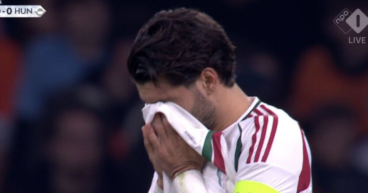 Dominik Szoboszlai in tears as Netherlands vs Hungary stopped for medical emergency